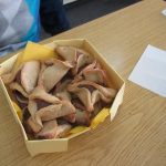 17157392_1337930916246397_1362435926782609920_o